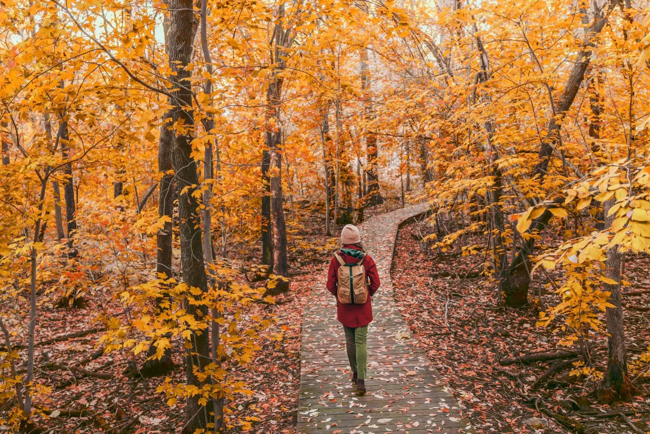 Woman walking in a forest on a wooden bridge with yellow leaves on trees.