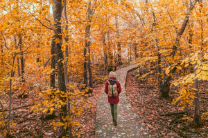 Woman walking in a forest on a wooden bridge with yellow leaves on trees.