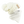 Quick Clava® Solace™