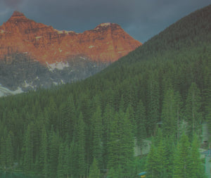 Seirus Sustainability Forest covered mountainside 