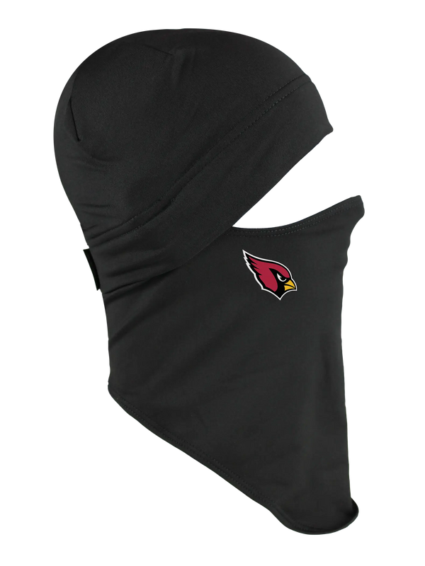 Arizona Cardinals Dynamax Quick Headliner