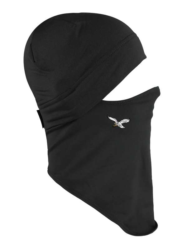 Philadelphia Eagles Dynamax Quick Headliner